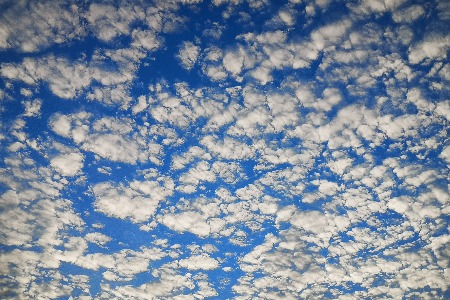 冯仑：从企业四种死法 反思如何坚持活下去