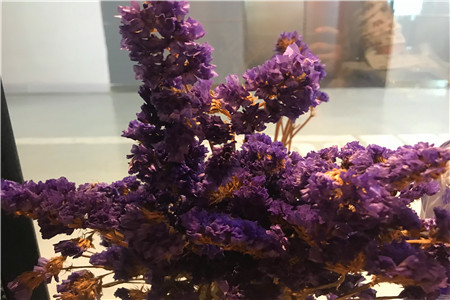 李丰：最先完成数据化的公司将成为行业赢家