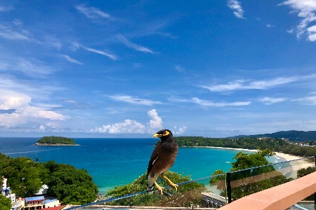 智能家居市场方兴未艾 多角色“野蛮入侵”
