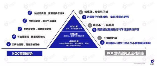 短视频浪潮下，新快消品牌如何投放增长？| 行业报告 