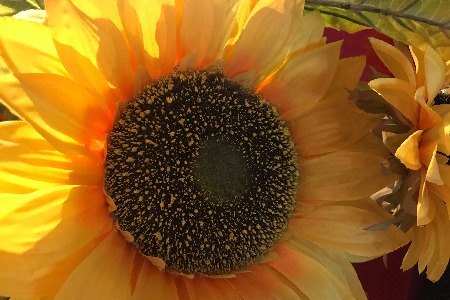 5000亿的to B生意 如何重构企业学习