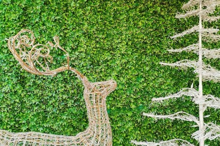 Paytm拟从蚂蚁金服软银融资20亿美元