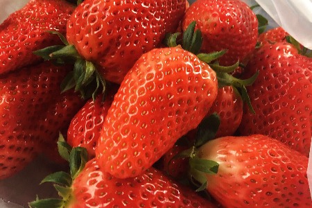 每日优鲜公布双11福利：单笔下单满100可获99减20红包