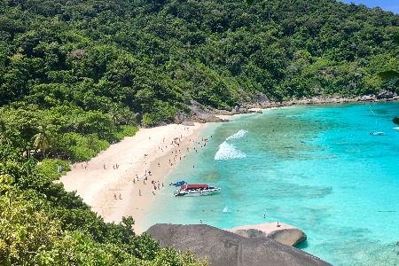 YouTube的水逆2019：算法的红与黑 平台的难与易