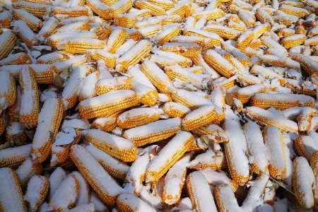 农村低效物流有何解法？