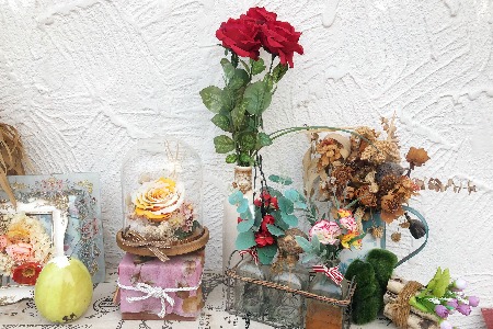 从达芙妮转战电商业务 看渠道策略运营