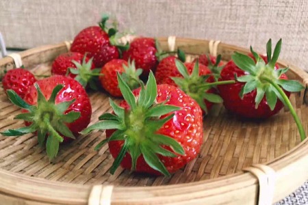 生鲜电商大洗牌 乐活却要提“果篮”赴美上市？