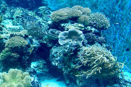 快兔物流刘晨欢：物流代管是商业模式创新