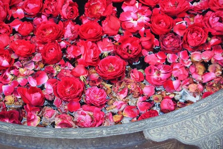 这十年 直营零售引发行业大动荡