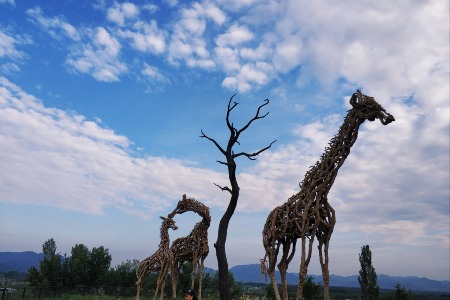 传统经销商转型：不仅要变模式 更是要变思维