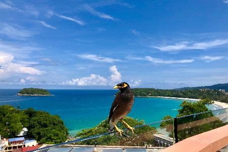 “小而美”的精品超市谋变在寒冬