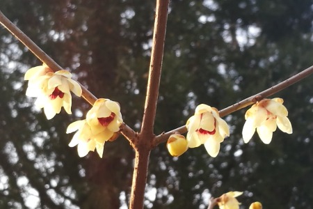 预见2020物流行业10大趋势