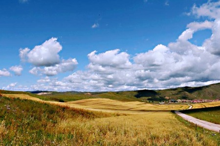 2019男女服装数据回顾：男装T恤的销量占比31.2%