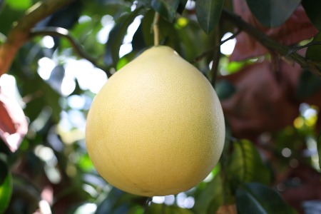 干货|新榜李建伟：如何运营好私域流量