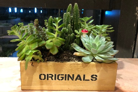 门店营业额普遍下滑 母婴店亟需深度重构