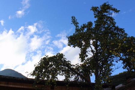 飞聊选择PC端作为下一个“停机坪”