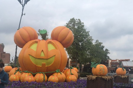 2 5亿年轻人为孤单买单