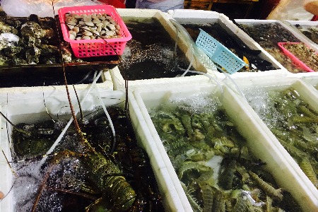 出海商业化流量变现指南（上）