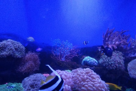 电商平台围剿涉疫商家进行时