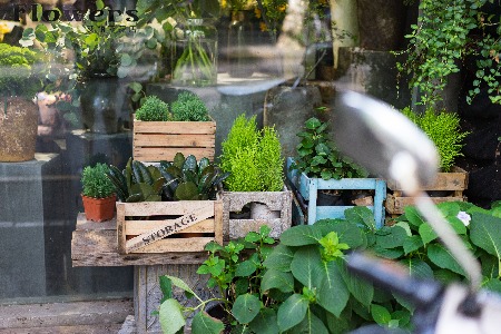 保命 疗伤和强身：疫情之下企业应对三步曲