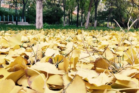 复工后 如何打造强劲的组织