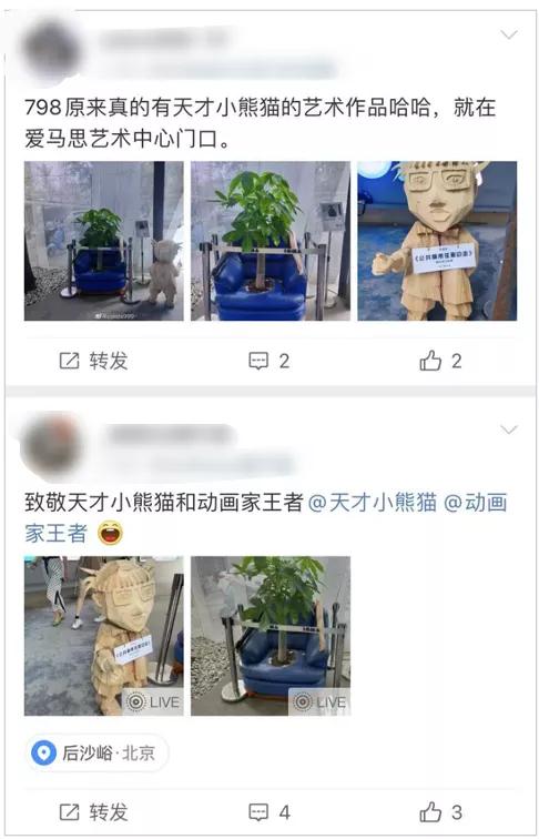 b站新顶流天才小熊猫又双叕火啦转型成功的秘诀是