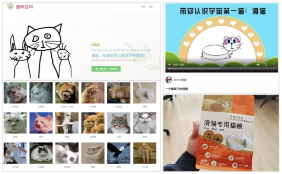 天才小熊猫又双叕火啦!转型成功的秘诀是?