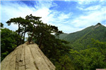 2016大别山区县域电商扶贫论坛隆重举行