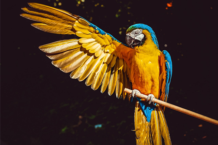 华鼎2018上半年营收24.78亿 同增101.45%