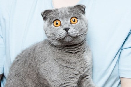 天猫将于9月6日首次激活“1小时达”服务