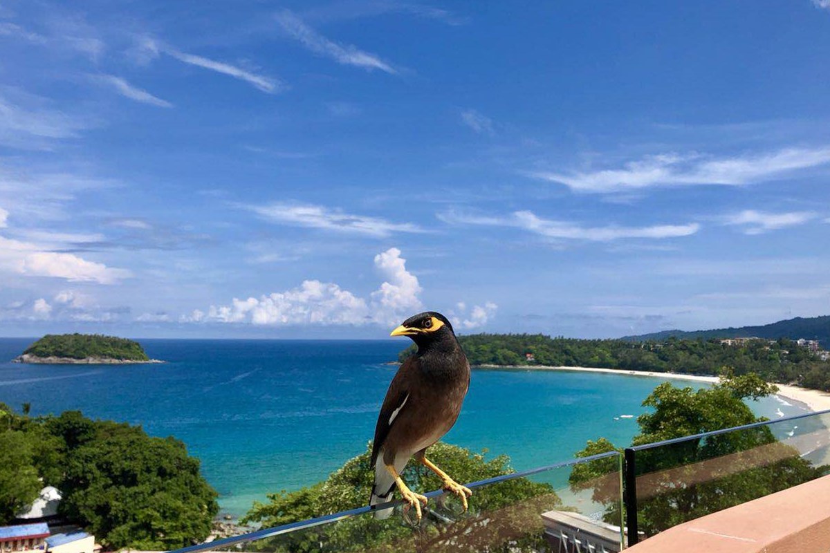 报告称：上半年生鲜电商交易规模破千亿