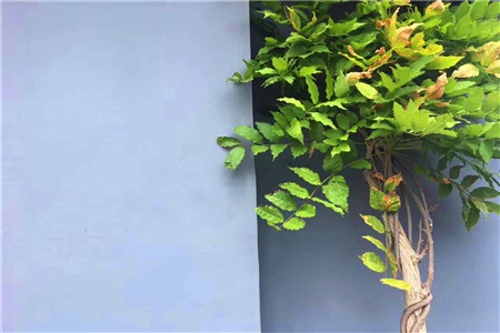 用AI搭建商品图谱 海量SKU独立站打法这样玩