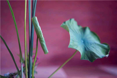 天猫黑科技落地 联手PEPCO打造智慧门店