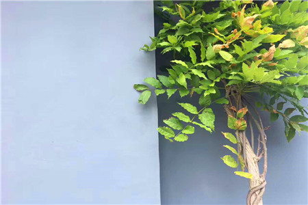 众友帮农启动先吃后付 这样的消费者可使用