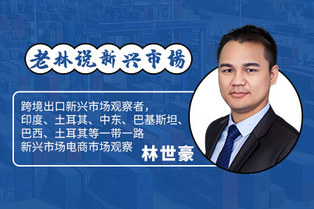 专栏丨独立站头部卖家已进入印度电商市场