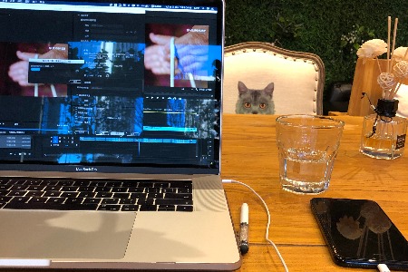 天猫经营大类变更 4月新增3个一级类目