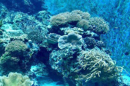 深潜DeepDive完成数千万人民币A轮融资