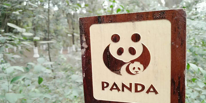 社交凶猛 七匹狼变成了“万”匹狼