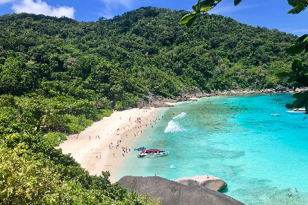 搬水搬了36亿 不上市的农夫山泉怎么炼成