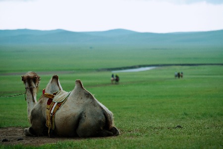 商务部流通发展司司长郑文：推进商场陆续恢复营业