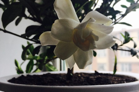 可持续时尚产品好卖吗 伊芙丽反正要用科技抢人