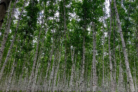 元璟资本完成超4亿美元基金募集