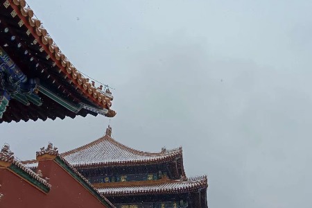 天猫2020双十一招商规则 即日起商家可参与报名