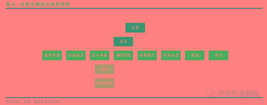 电商代运营的经验之道 资本化加速 行业明天到底在哪?