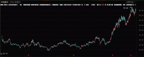 宠物“氪金”肥了谁？