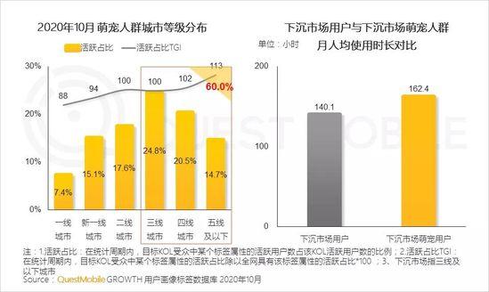 QuestMobile2020萌宠经济洞察报告：萌宠群体超5.3亿