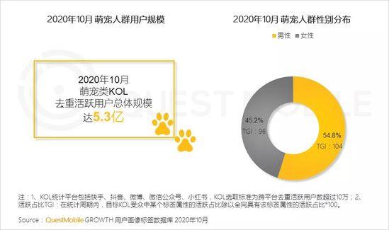 QuestMobile2020萌宠经济洞察报告：萌宠群体超5.3亿