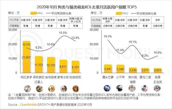 QuestMobile2020萌宠经济洞察报告：萌宠群体超5.3亿