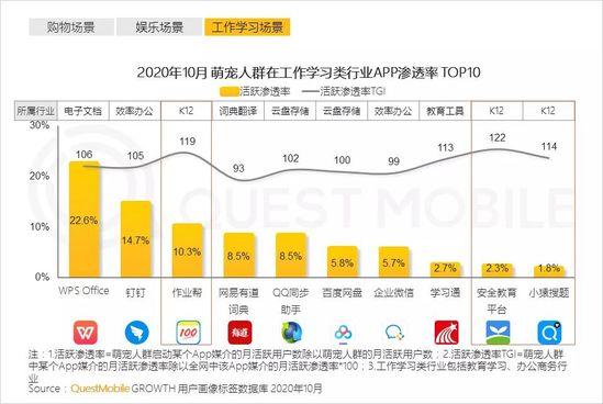 QuestMobile2020萌宠经济洞察报告：萌宠群体超5.3亿