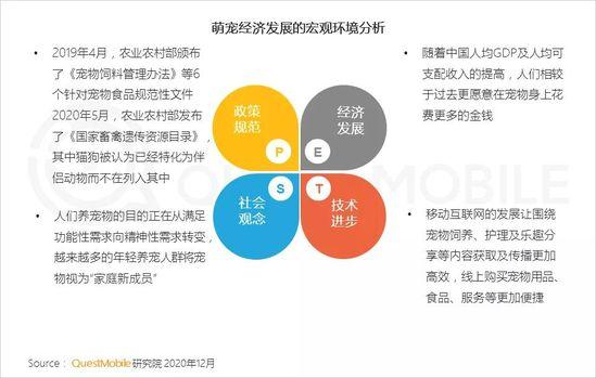 QuestMobile2020萌宠经济洞察报告：萌宠群体超5.3亿